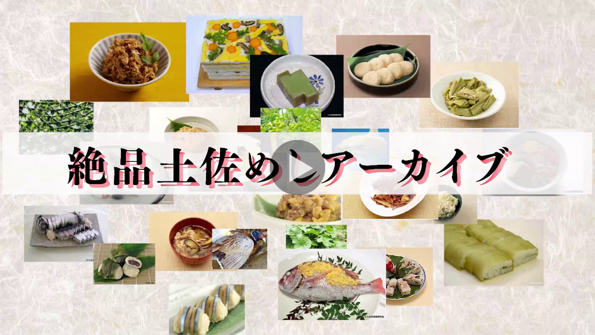 土佐めしアーカイブ