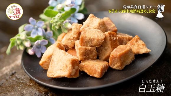 芸西村伝承館