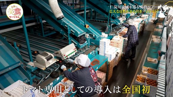 トマト選果施設