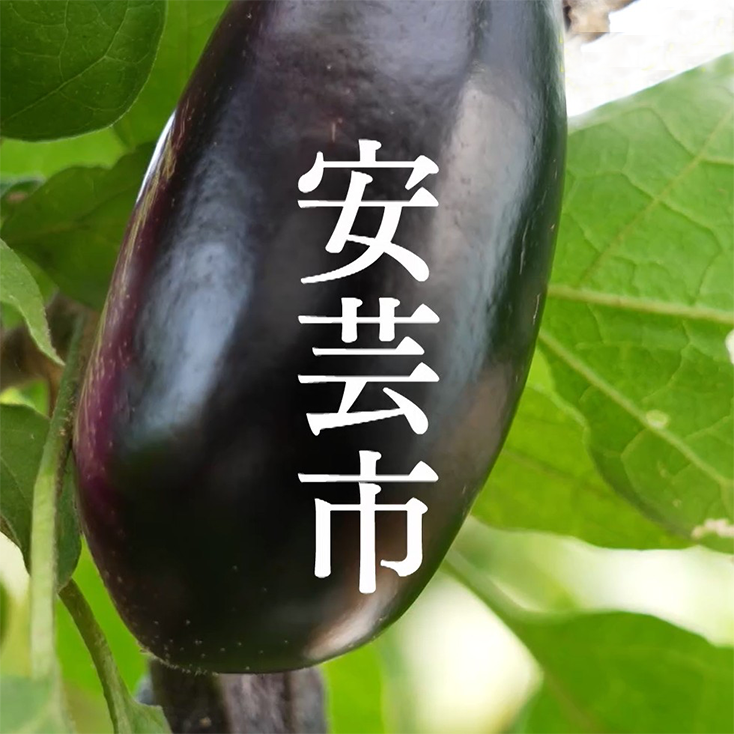 安芸市