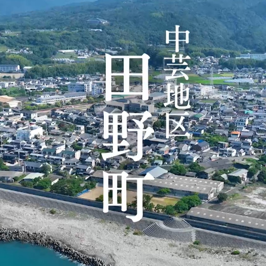 田野町