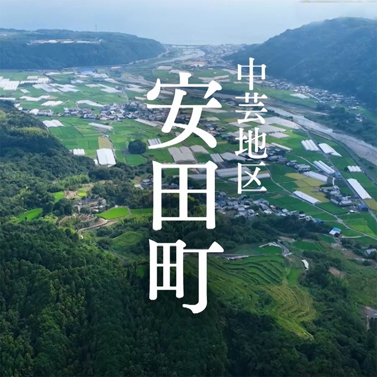 安田町