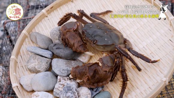 仁淀川・ツガニ漁