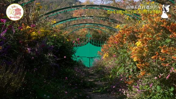 北川村「モネの庭」マルモッタン
