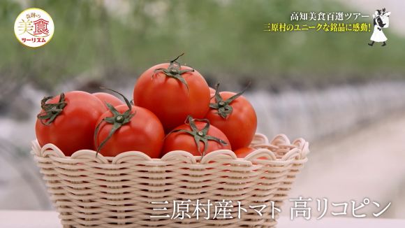 四万十みはら菜園
