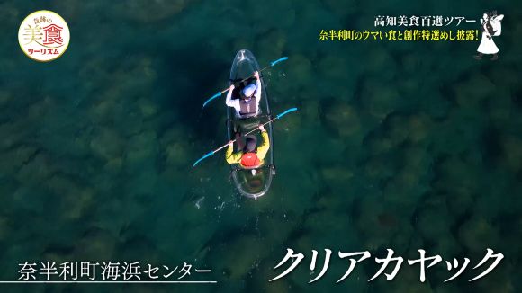 奈半利町海浜センター