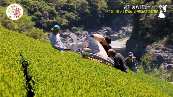 池川茶業組合