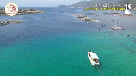 マリンドリーム柏島