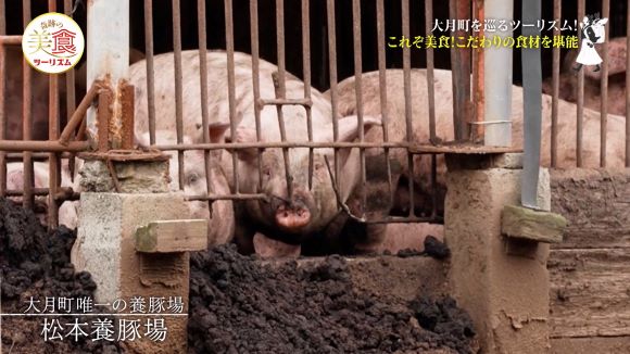 松本養豚場