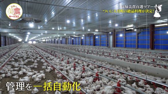 ヤマニファーム