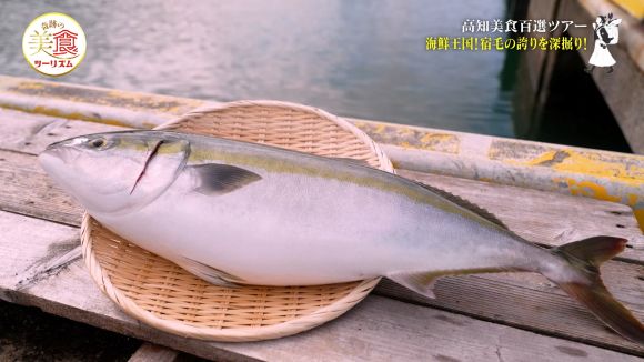 荒木水産