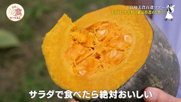 シゲ爺のカボチャ畑