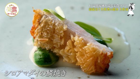 VILLA SANTORINI ／ logue（ローグ）