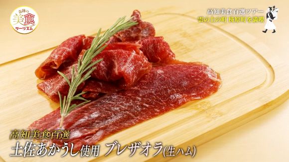 津野山畜産公社