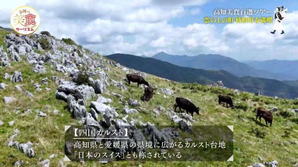 四国カルスト