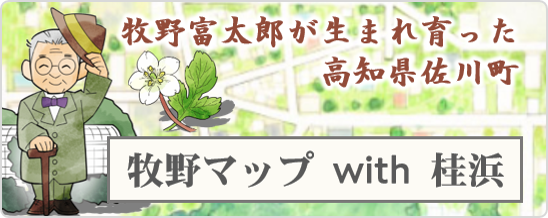 牧野マップWith桂浜